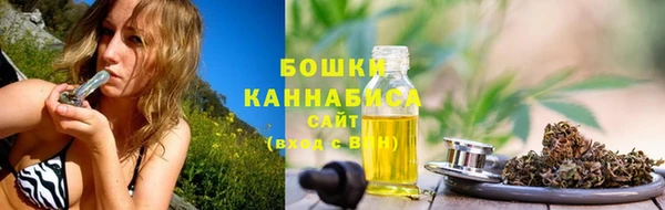 ПСИЛОЦИБИНОВЫЕ ГРИБЫ Алзамай
